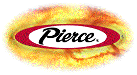 FIREMVIE.gif (162278 bytes)