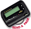 SendAPage.gif (3866 bytes)